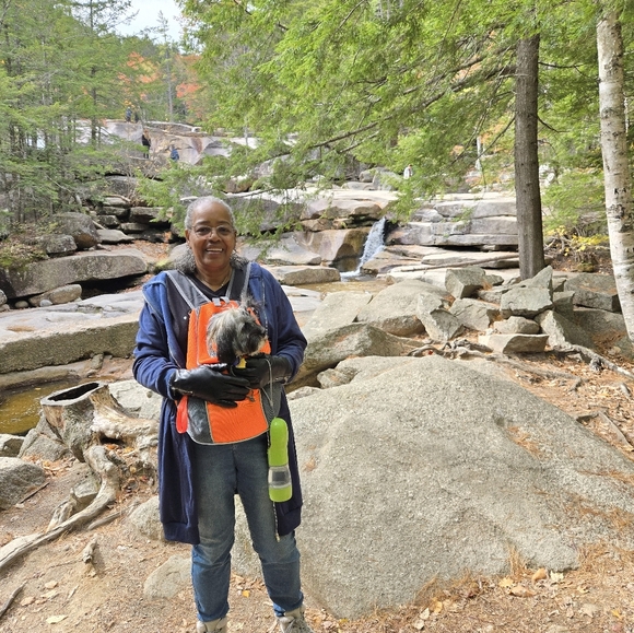 Pet Carrier Backpack with Storage Pockets Small Dog Front Backpack Adjustable - Picture 6 of 6